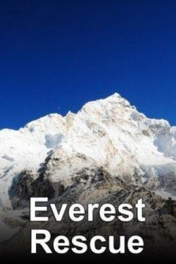 Everest Rescue