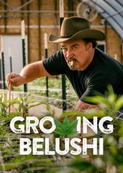 Growing Belushi