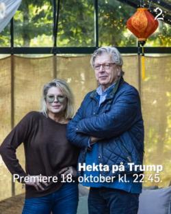 Hekta på Trump