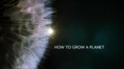 How to Grow a Planet