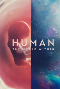 Human: The World Within