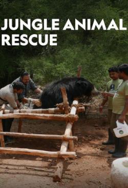 Jungle Animal Rescue