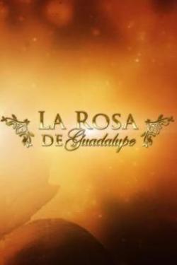 La rosa de Guadalupe