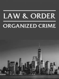 Law & Order: Organized Crime