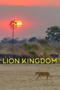 Lion Kingdom