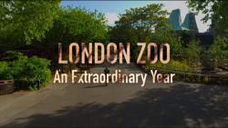 London Zoo: An Extraordinary Year