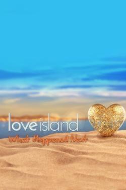 Love Island: What Happened Next?