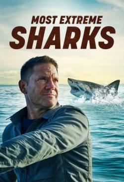 Most Extreme Sharks