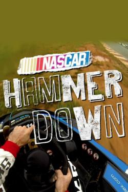 NASCAR Hammer Down