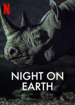 Night on Earth