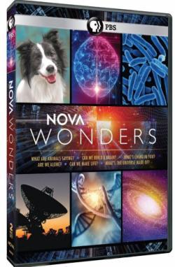 NOVA Wonders