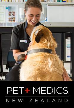 Pet Medics