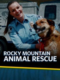 Rocky Mountain Animal Rescue