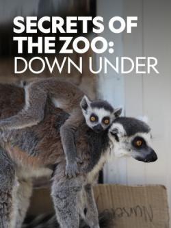 Secrets of the Zoo: Down Under