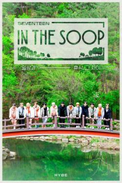 Seventeen in the Soop