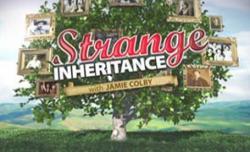 Strange Inheritance