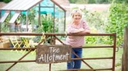 The Big Allotment Challenge