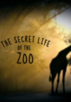 The Secret Life of the Zoo