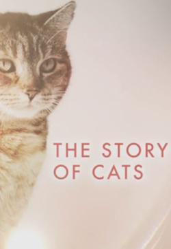 The Story of Cats