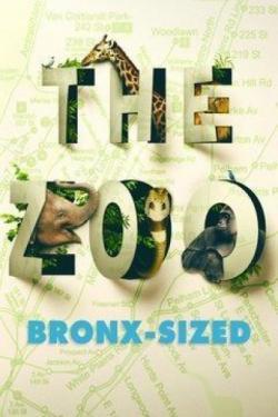 The Zoo: Bronx-Sized