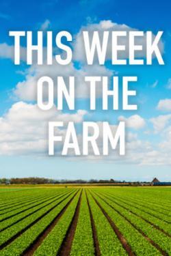 This Week on the Farm