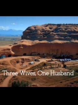 Three Wives, One Husband