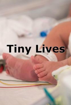 Tiny Lives