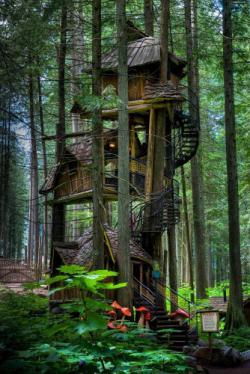 Treehouse Masters