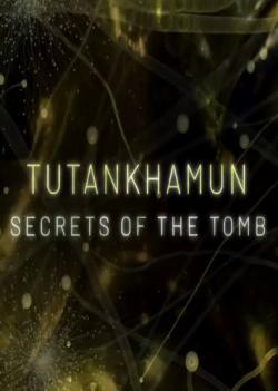 Tutankhamun: Secrets of the Tomb