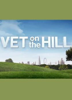 Vet on the Hill