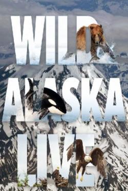 Wild Alaska Live