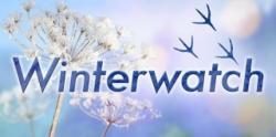 Winterwatch