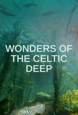 Wonders of the Celtic Deep