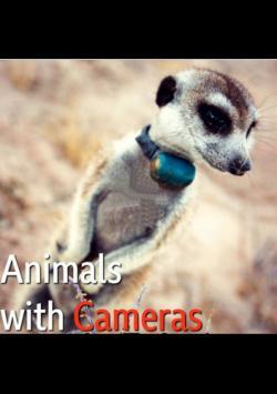 Animals with Cameras