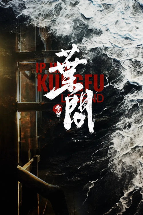 宗师叶问2